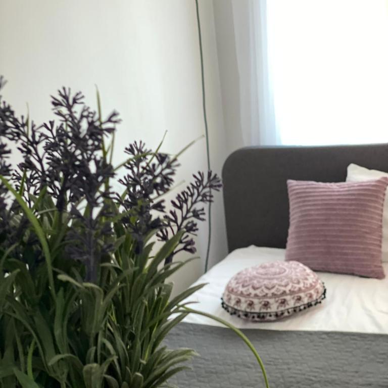 Apartment Mali Princ S18 Milmari resort - One-Bedroom Apartment - 24