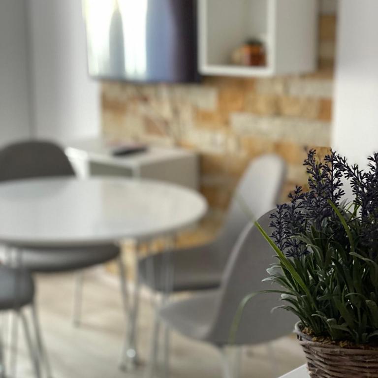 Apartment Mali Princ S18 Milmari resort - One-Bedroom Apartment - 15