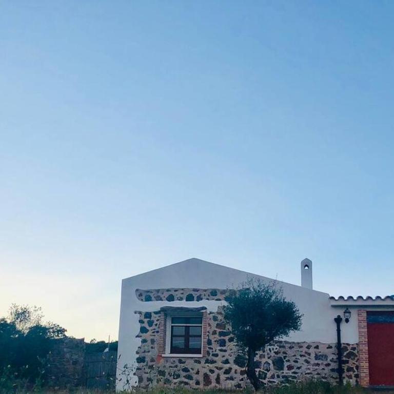 Villa Pedduzza nel Golfo di Orosei - Villa - 8