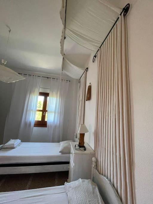 Villa Pedduzza nel Golfo di Orosei - Villa - 36