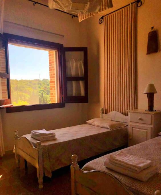 Villa Pedduzza nel Golfo di Orosei - Villa - 50