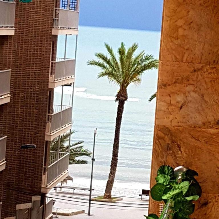 Apartment by the beach - Apartment - 13