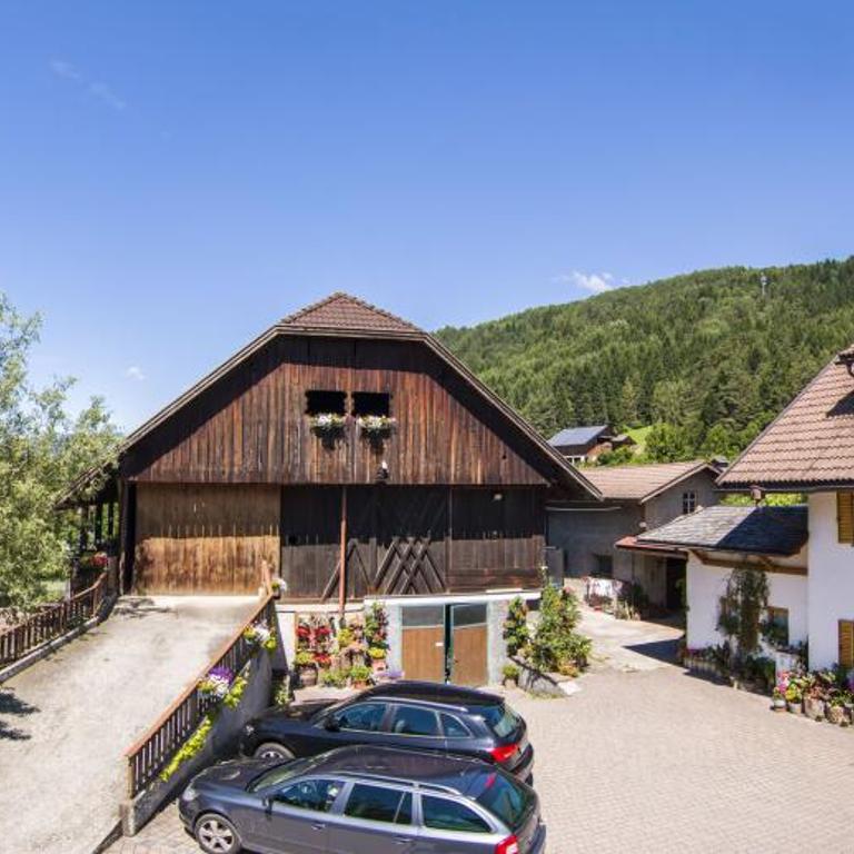 Haus Ploner - Pichlerhof - Appartamento con 1 Camera da Letto - 8