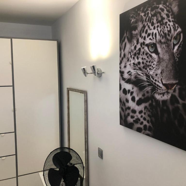 ALOE Suite Laurent-Gael - Apartamento de 1 dormitorio - 23