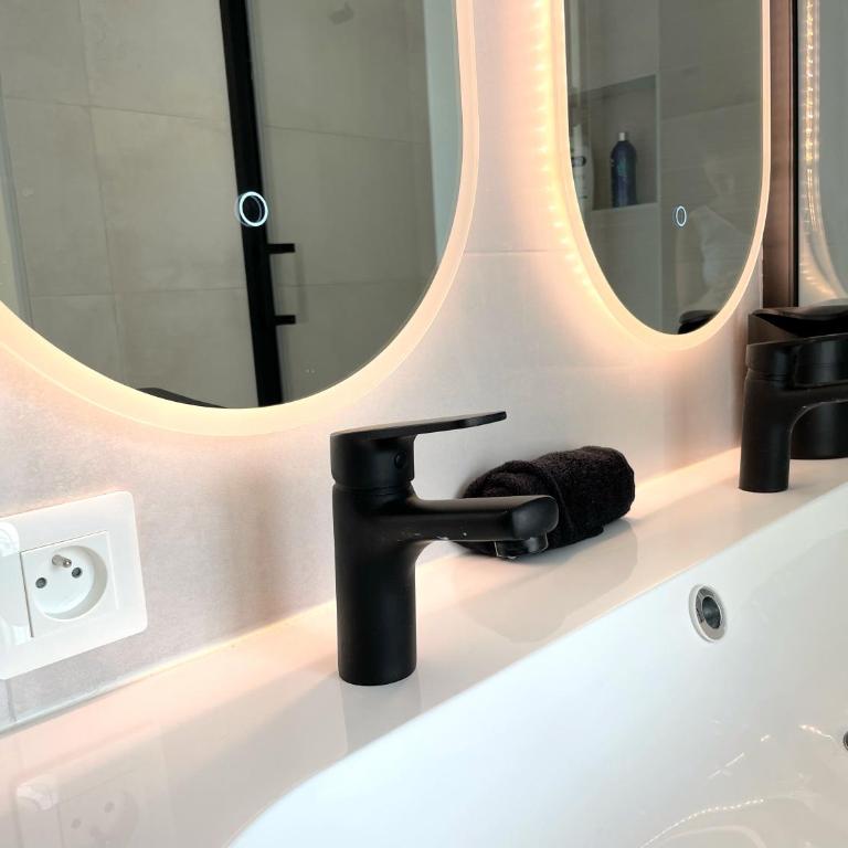 Le Compans: exceptionnel T5 en berges du Canal - Appartement - 63