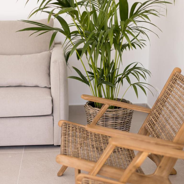 Bossa Bay Suites with Private Pool - MC Apartments Ibiza - Suite con piscina privada - 11