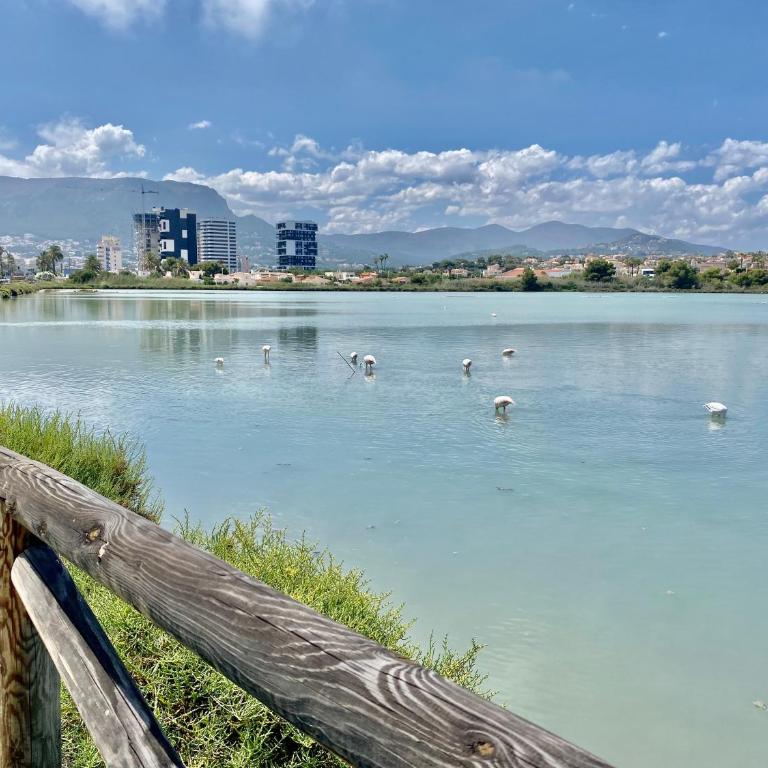 Calpe Hipocampo 25-A - Apartment with Sea View - 60