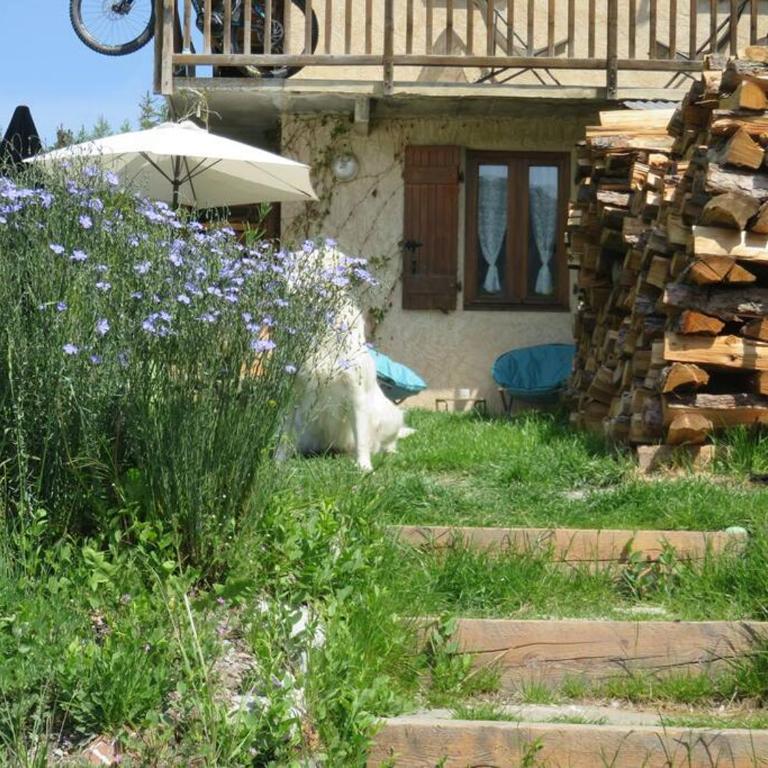 Studio en rez de chaussée, avec jardin partagé. - Apartment mit 1 Schlafzimmer - 25
