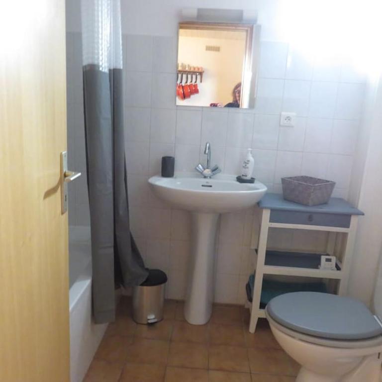 Studio en rez de chaussée, avec jardin partagé. - Apartment mit 1 Schlafzimmer - 29
