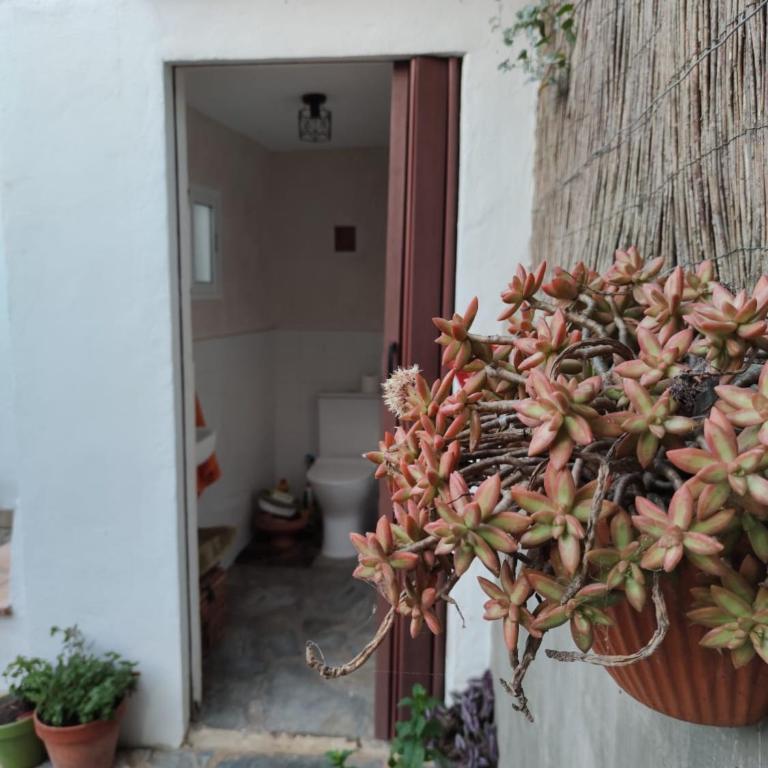 Casa El Jazmín - Casa de 3 dormitorios - 12