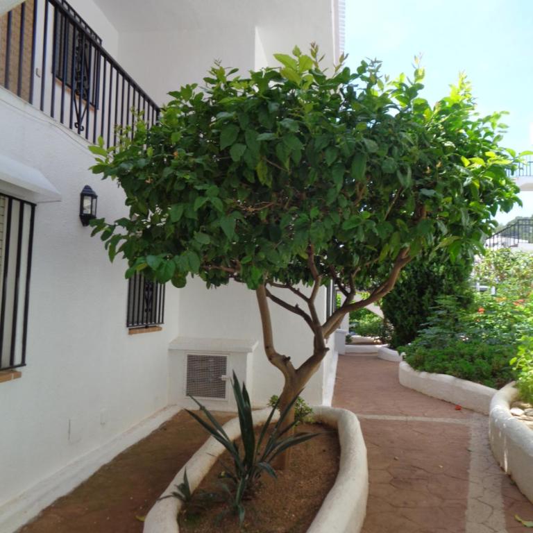APARTAMENTO HECO - Apartamento con vistas al jardín - 26