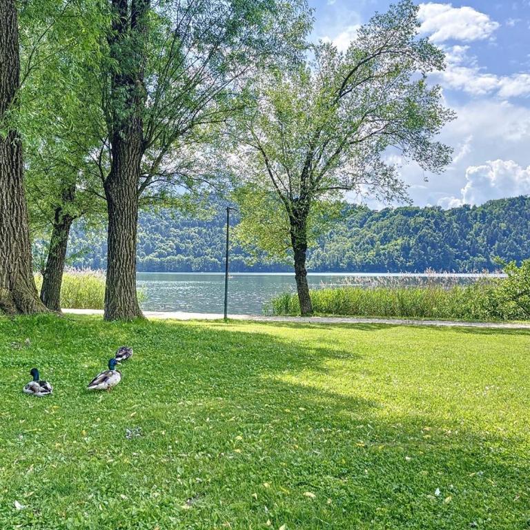Villa Eden a Levico Terme - Appartamento con 2 Camere da Letto - 25
