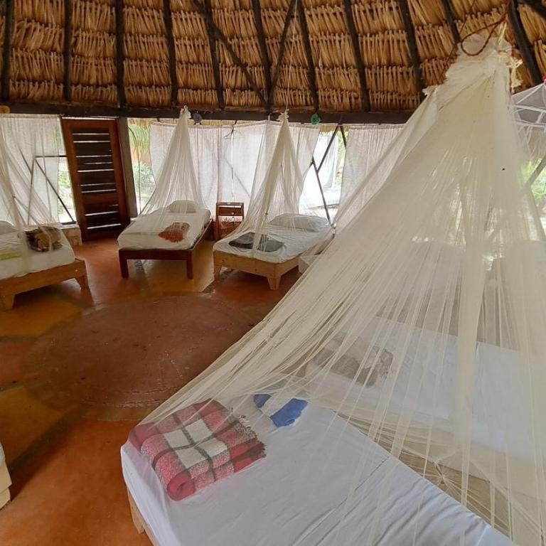 Cayuco Maya - Cama en habitación compartida mixta de 8 camas - 3