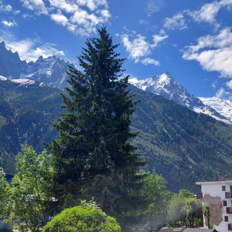 Studio cosy à Chamonix - Animaux admis, parking privé - FR-1-517-21 - Studio - 3