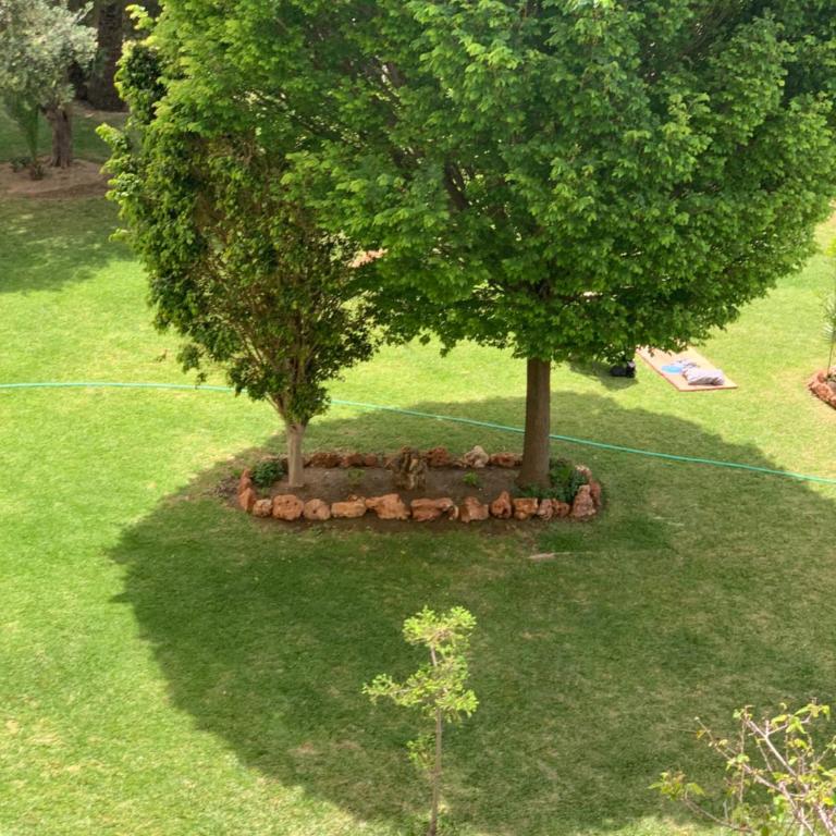 Fabulous sunny second floor apartment - Edificio Europark - overlooking gardens and pools. - Apartment mit Balkon - 64