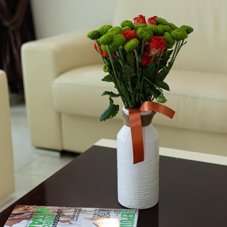 BigMontenegro Shine - Apartman sa 1 Spavaćom Sobom - 12