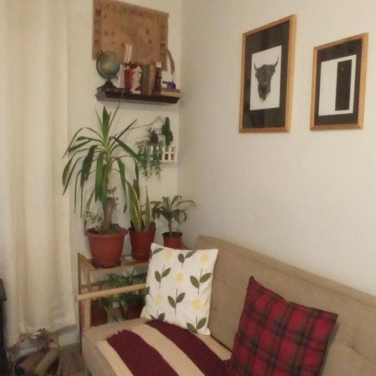 Dulce hogar - Apartamento - 2