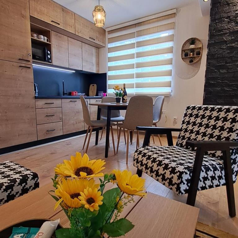 Vila Jahor Apartmani JET SET Lux - Apartman sa 1 Spavaćom Sobom - 25