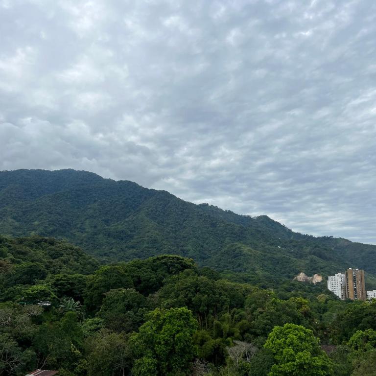 HERMOSO APTO CON VISTA a LAS MONTAÑAS DEL QUINDÍO CERCA de TODO - Apartamento de 2 dormitorios - 9