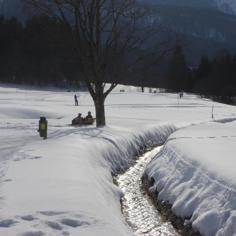 Alpen-Chalet-Sol-Alpium - Studio-Apartment - 21