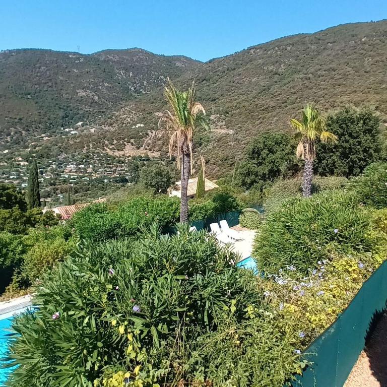 Villa à Cavalaire-sur-Mer avec piscine, sauna, parking et animaux acceptés - FR-1-226B-156 - Casa Vacanze - 1