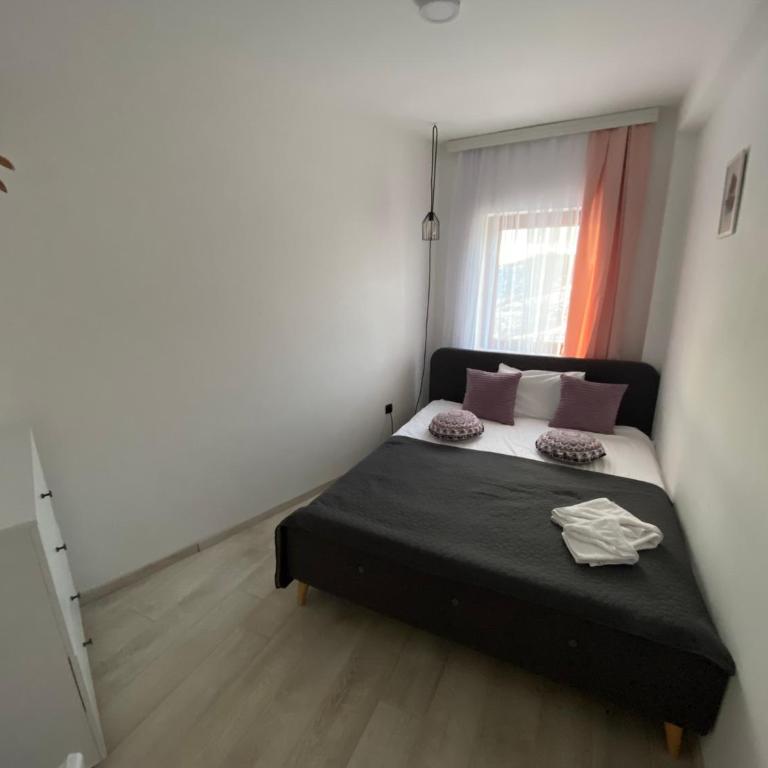 Apartment Mali Princ S18 Milmari resort - One-Bedroom Apartment - 22