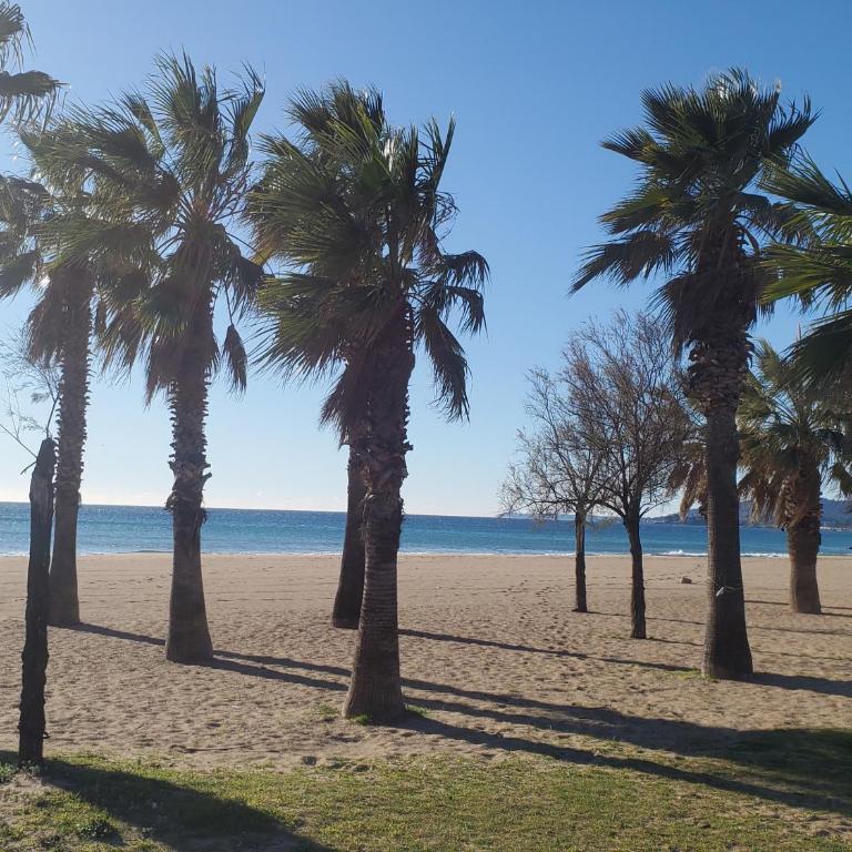 Port FREJUS 3 Pieces climatise 80m2 Proche de tout - Appartement 2 Chambres - 8