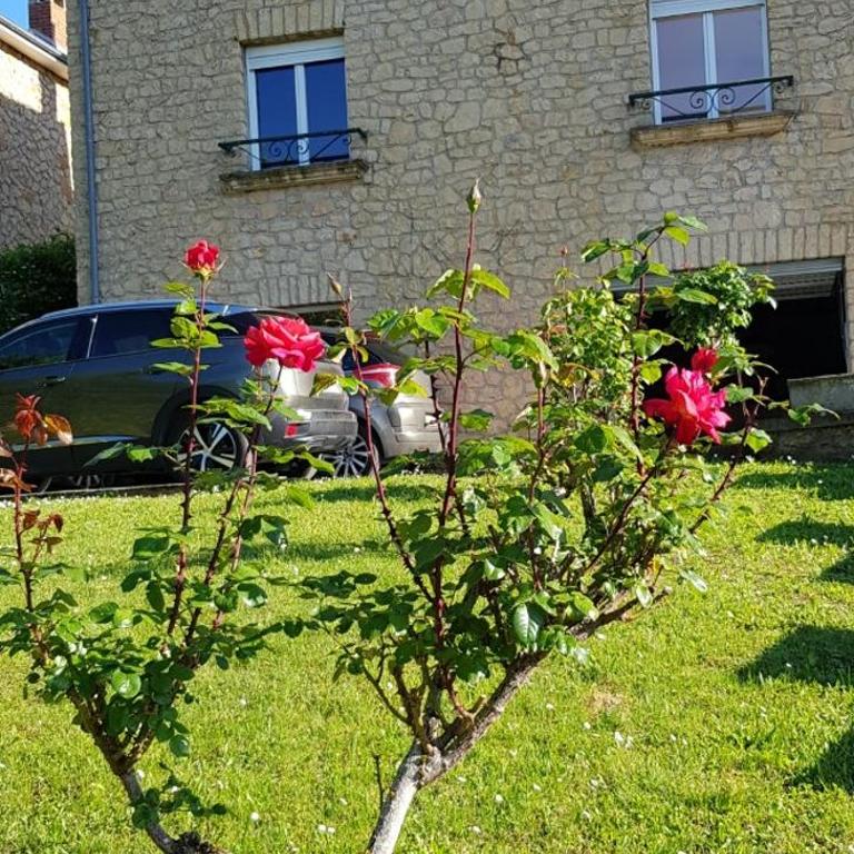 La villa des chimères - Appartamento con 2 Camere da Letto - 1