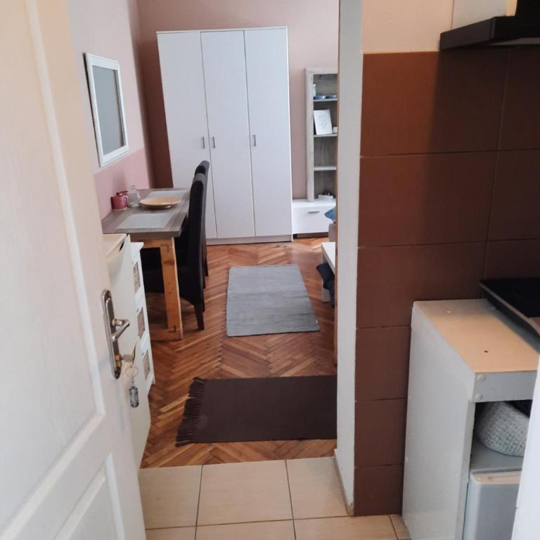 Apartmani Biljana Lazić - Studio Apartman - 5