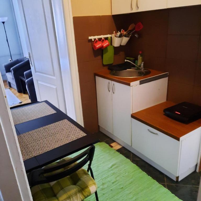 Apartmani Biljana Lazić - Studio Apartman - 26