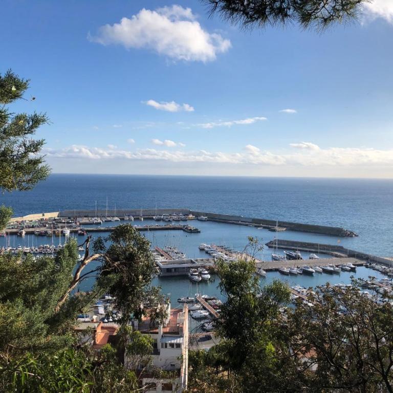 Luxury apartment 50m from the beach! - Apartamento de 2 dormitorios - 39