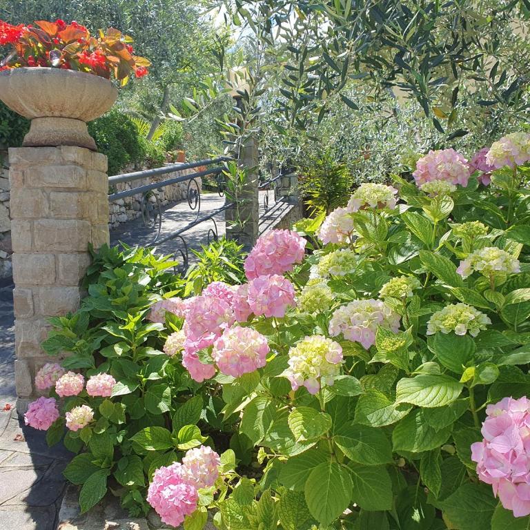 Casa Valenti - Appartamento con 1 Camera da Letto - 12
