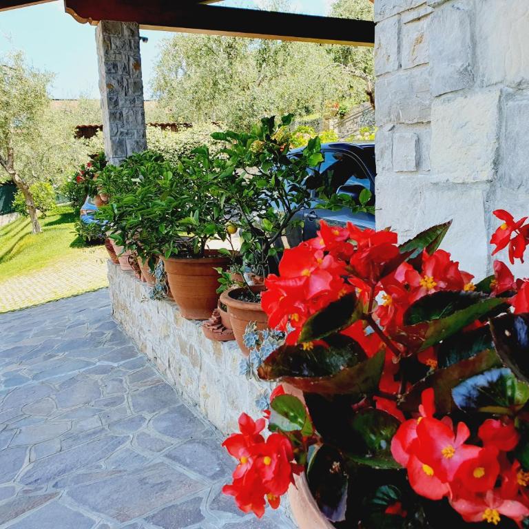 Casa Valenti - Appartamento con 1 Camera da Letto - 14