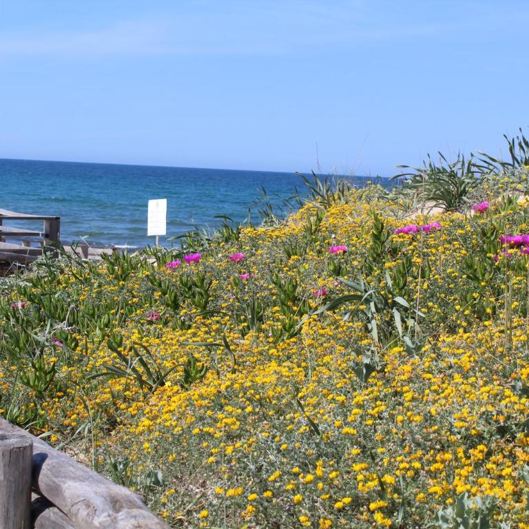 Sardinia SeaBreeze Villa IUN R2178 - Two-Bedroom Villa - 45