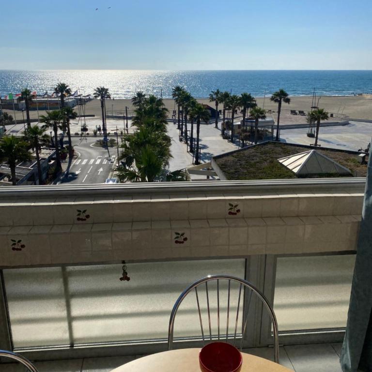 Canet plage face à la mer - Apartment mit 2 Schlafzimmern - 2