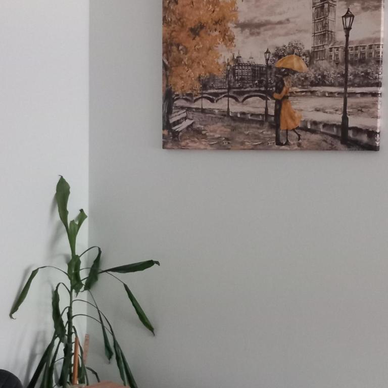 Apartmani Djuric Center - One-Bedroom Apartment - 13