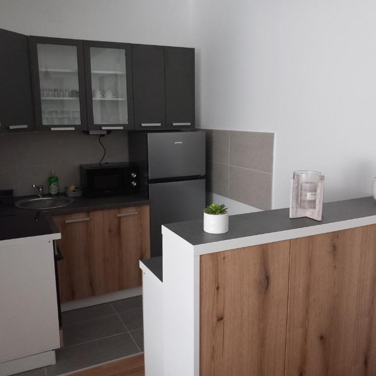 Apartmani Djuric Center - One-Bedroom Apartment - 22