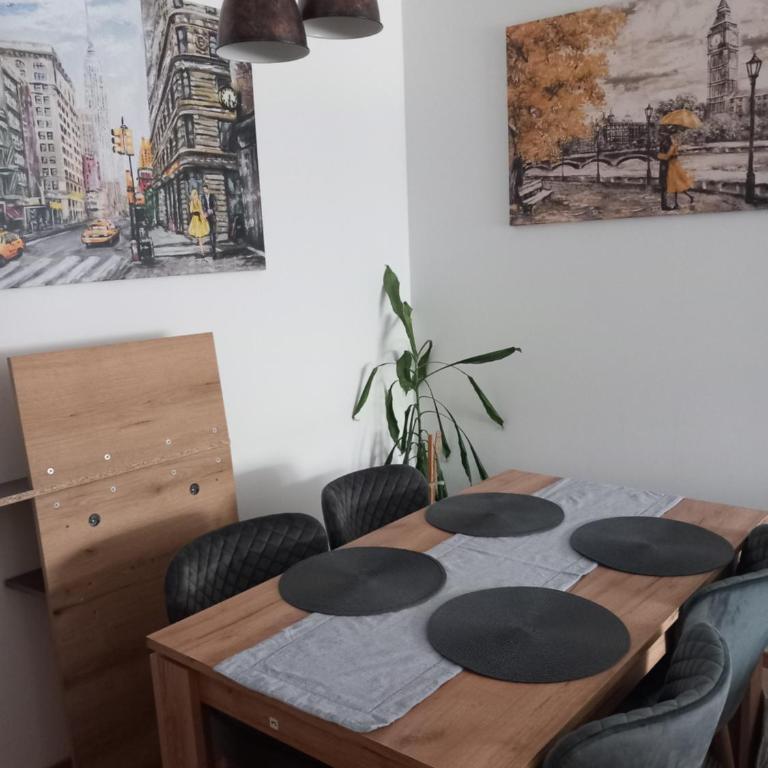 Apartmani Djuric Center - One-Bedroom Apartment - 16