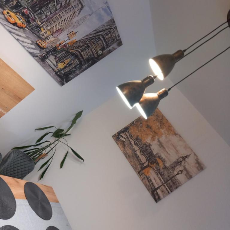 Apartmani Djuric Center - One-Bedroom Apartment - 15