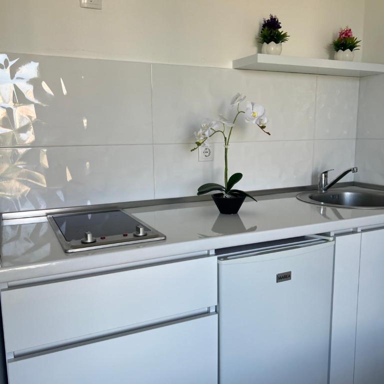Rasi Luxury Apartments - Deluxe Studio - 3