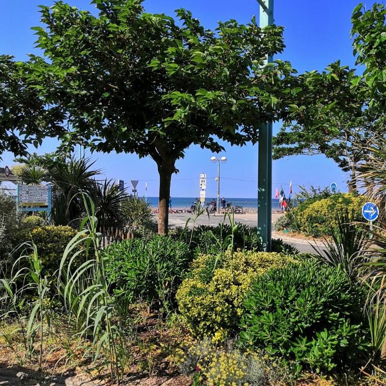 Appartement neuf 40 m² 300 m de la mer - Appartement 1 Chambre - 9