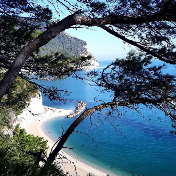 NUMANA HOLIDAY - Appartamento con 1 Camera da Letto - 36