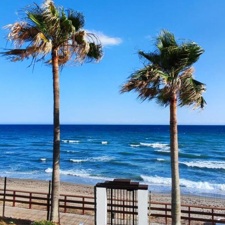 Espectacular apartamento, urbanización primera linea de playa - Apartamento de 1 dormitorio - 24