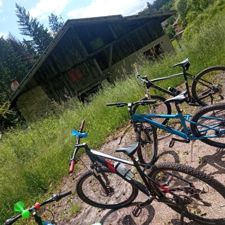 APPARTAMENTO ROEN - Val di Non - Apartment mit 2 Schlafzimmern - 18