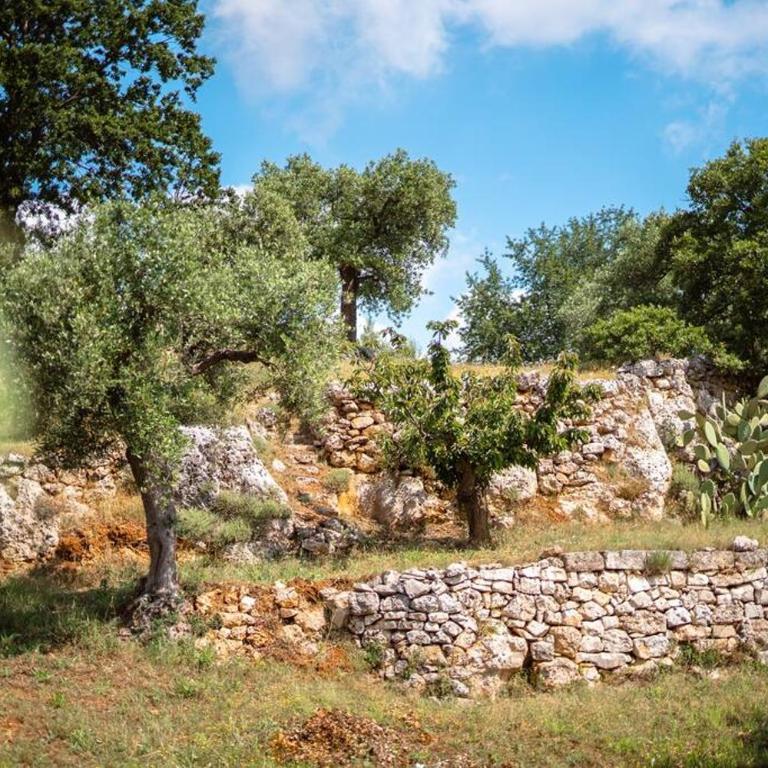 Trullo Caelum - Casa con 2 Camere da Letto - 15