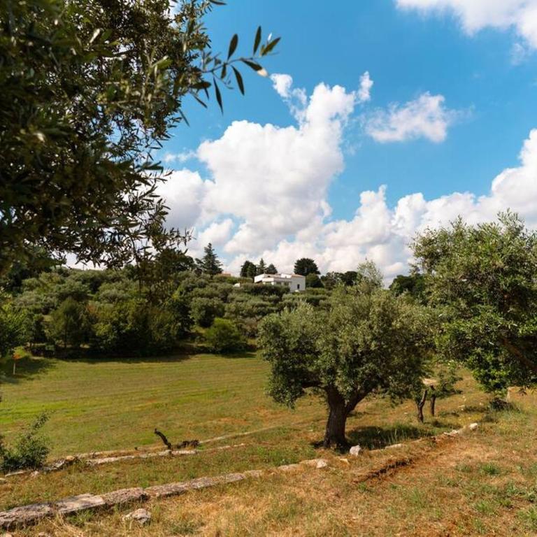 Trullo Caelum - Casa con 2 Camere da Letto - 16