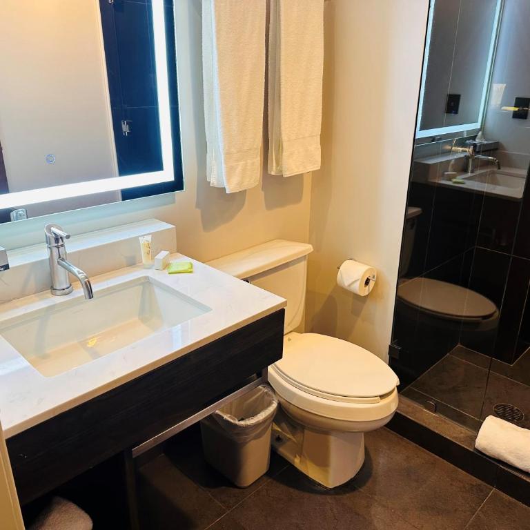 Holiday Inn Express Mexico City Satelite by IHG - Standard Queen Room - 6