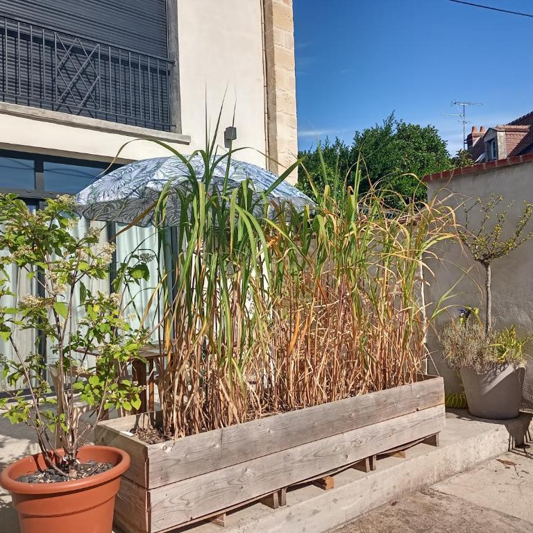 Maison au calme avec terrasse et parking privé proche centre ville - Casa a Schiera con 2 Camere da Letto - 21