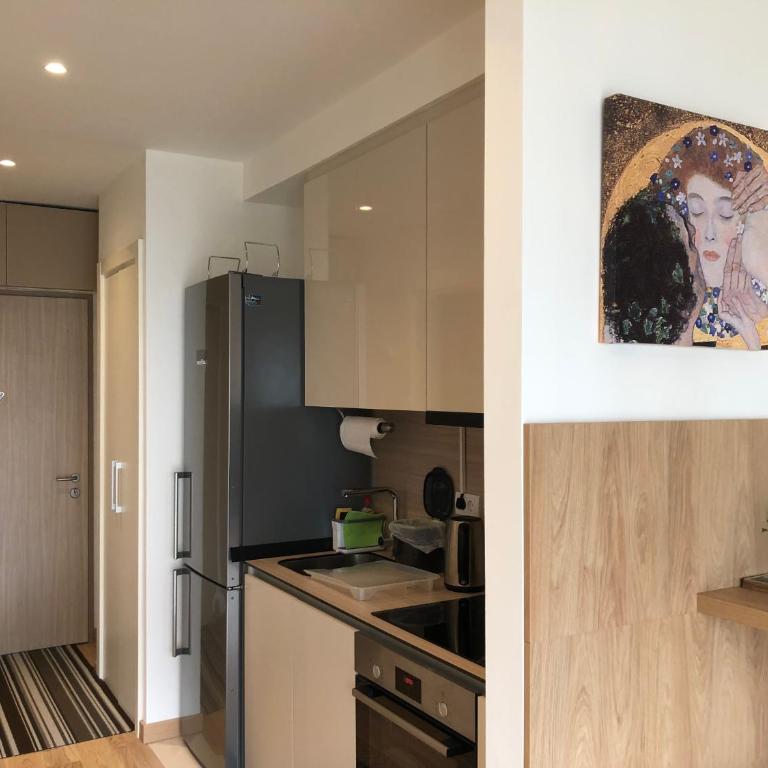 Cozy Belgrade Waterfront studio with Murphy bed - Apartman sa 1 Spavaćom Sobom - 4