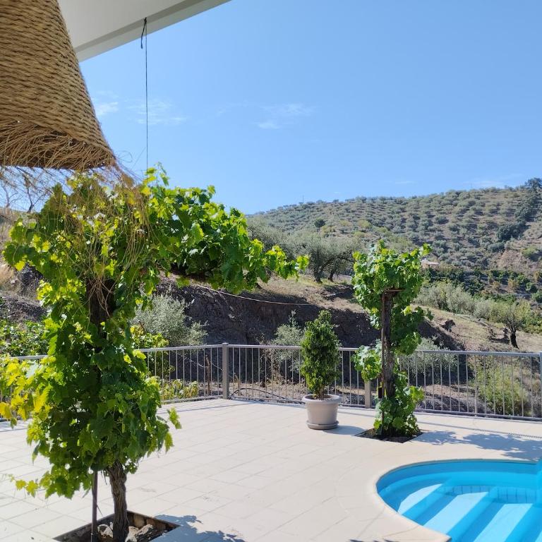 VILLA LAS VIÑAS - Villa de 3 dormitorios - 2